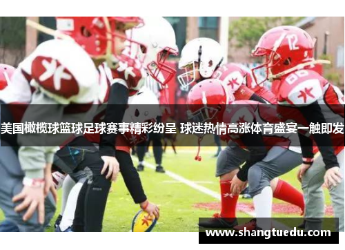 美国橄榄球篮球足球赛事精彩纷呈 球迷热情高涨体育盛宴一触即发